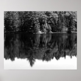 Zwarte en witte bomen Reflectie in het water 16x20 Poster
