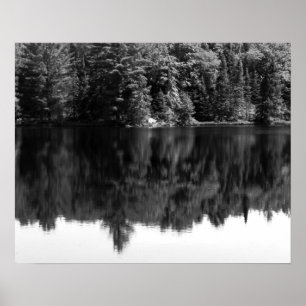 Zwarte en witte bomen Reflectie in het water 16x20 Poster