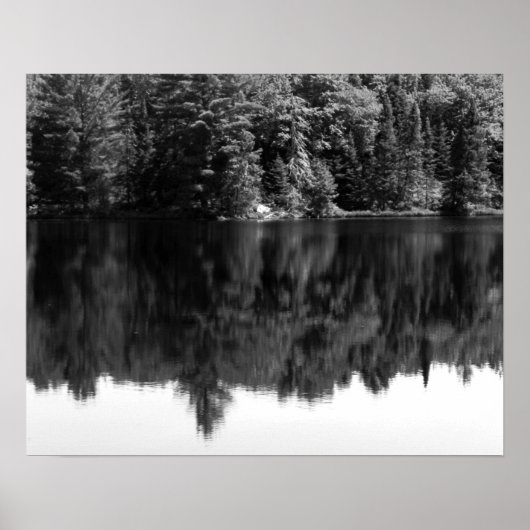 Zwarte en witte bomen Reflectie in het water 16x20 Poster (Voorkant)