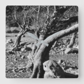 ZWARTE EN WITTE BOMEN VIERKANTE KLOK (Voorkant)