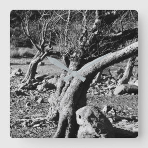 ZWARTE EN WITTE BOMEN VIERKANTE KLOK