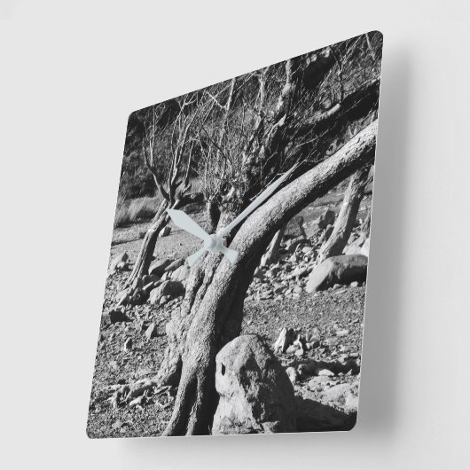 ZWARTE EN WITTE BOMEN VIERKANTE KLOK (Hoek)