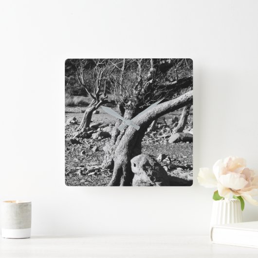 ZWARTE EN WITTE BOMEN VIERKANTE KLOK (Huis)