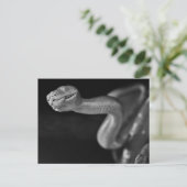 Zwarte en witte boom Boa Briefkaart (Staand voorkant)