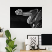 Zwarte en witte boom Boa Poster (Thuiskantoor)