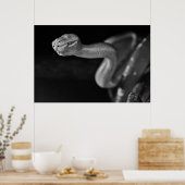 Zwarte en witte boom Boa Poster (Keuken)