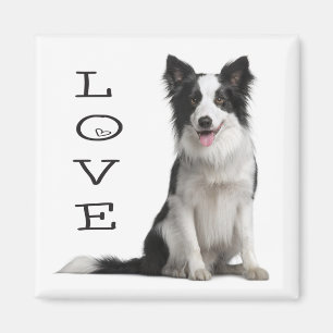 Zwarte en Witte Border Collie Puppy Hond met Liefd Magneet