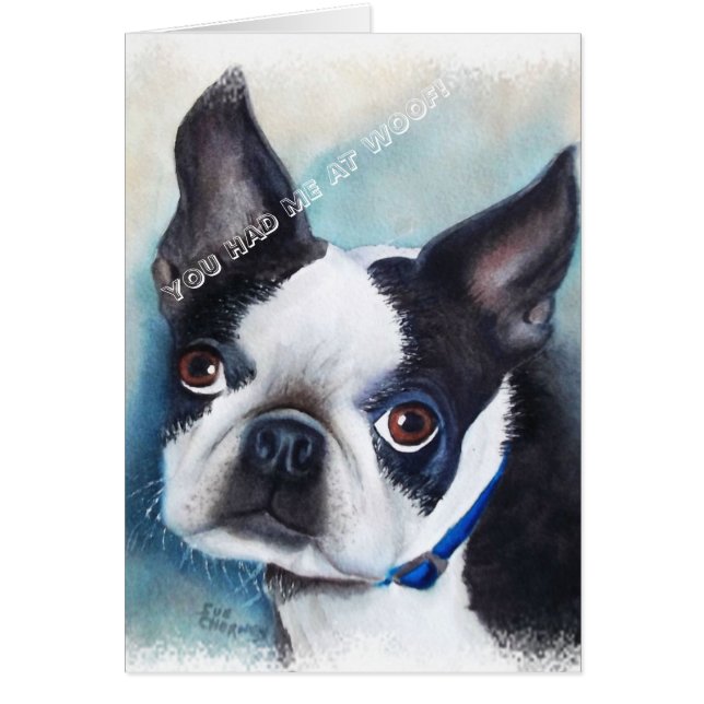 ZWARTE EN WITTE BOSTON TERRIER (Voorkant)