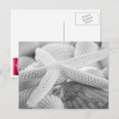 ZWARTE EN WITTE BRIEFKAART VOOR STARVIS EN SEIZOEN (Voorkant / Achterkant)