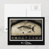  zwarte en witte Briefkaarten (Voorkant / Achterkant)