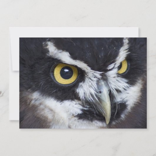 Zwarte en witte brij kaart (Achterkant)