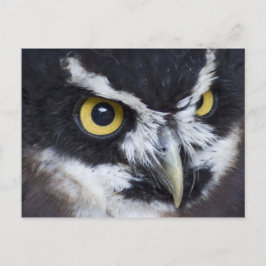 Zwarte en witte bril briefkaart