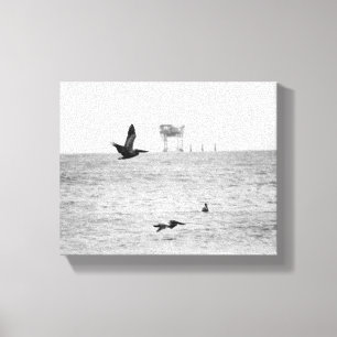 Zwarte en witte bruine Pelikans over de oceaan 8x1 Canvas Afdruk