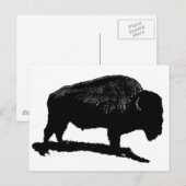 Zwarte en witte buffels briefkaart (Voorkant / Achterkant)