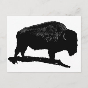 Zwarte en witte buffels briefkaart