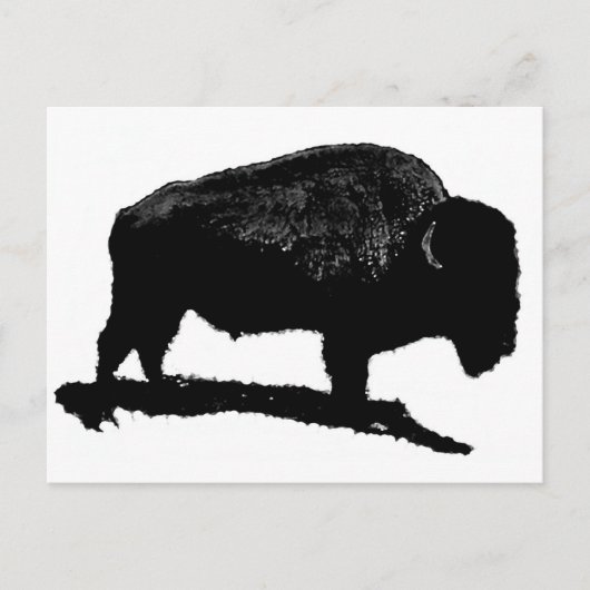 Zwarte en witte buffels briefkaart (Voorkant)