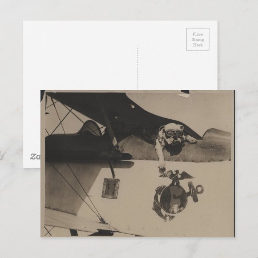  zwarte en witte bulldog Aviation Briefkaart (Voorkant / Achterkant)