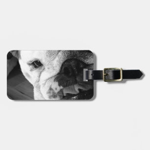Zwarte en Witte Bulldog Puppy Bagagelabel