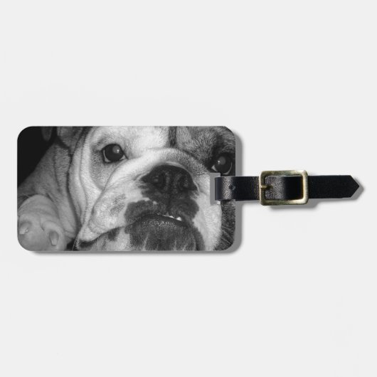 Zwarte en Witte Bulldog Puppy Bagagelabel (Voorkant horizontaal)
