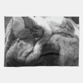 Zwarte en Witte Bulldog Puppy Theedoek (Horizontaal)