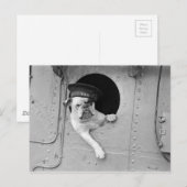 zwarte en witte bullehond Nautical Briefkaart (Voorkant / Achterkant)