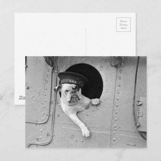  zwarte en witte bullehond Nautical Briefkaart (Voorkant / Achterkant)