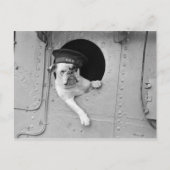  zwarte en witte bullehond Nautical Briefkaart (Voorkant)