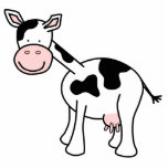 Zwarte en witte Cartoon. Fotobeeldje Magneet<br><div class="desc">Zwarte en witte koe. Cartoon illustratie van een schattige zwarte en witte gepatterde koe.</div>