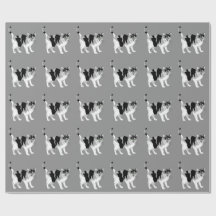 ZWARTE EN WITTE CAT-PATROON-pakpapier