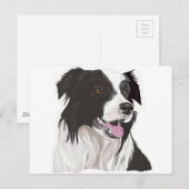 zwarte en witte collie bruine ogen briefkaart (Voorkant / Achterkant)