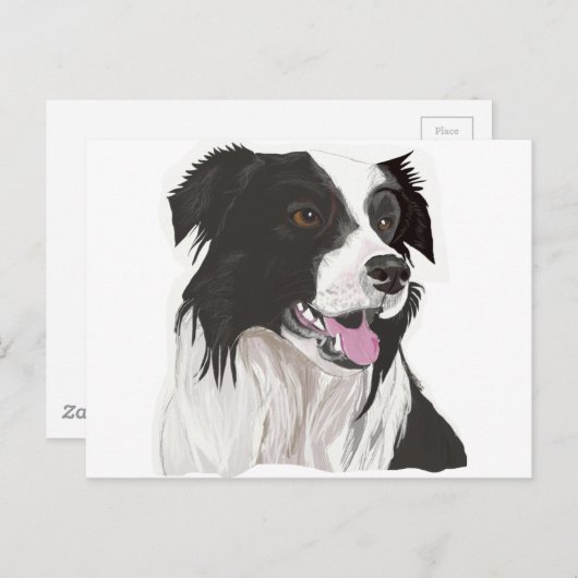 zwarte en witte collie bruine ogen briefkaart (Voorkant / Achterkant)