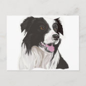 zwarte en witte collie bruine ogen briefkaart (Voorkant)