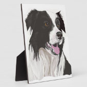 zwarte en witte collie bruine ogen fotoplaat (Zijkant)