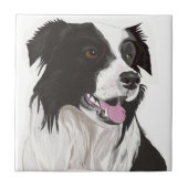 zwarte en witte collie bruine ogen tegeltje (Voorkant)