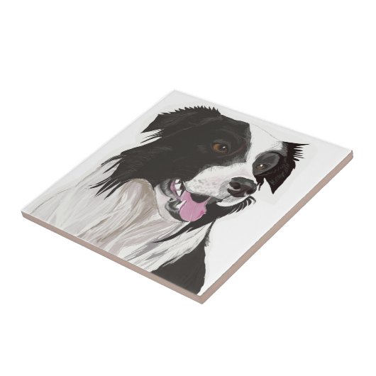 zwarte en witte collie bruine ogen tegeltje (Zijkant)