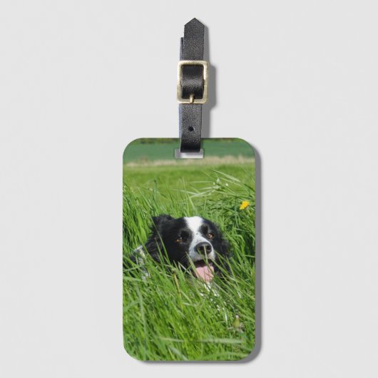 Zwarte en witte collie in Grass Bagagelabel (Voorkant (verticaal))