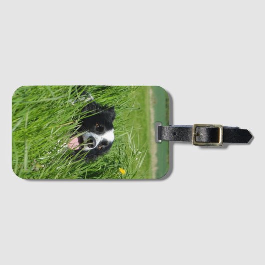 Zwarte en witte collie in Grass Bagagelabel (Voorkant (horizontaal))