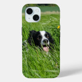 Zwarte en witte collie in Grass Case-Mate iPhone Case (Achterkant)