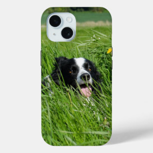 Zwarte en witte collie in Grass iPhone 15 Case