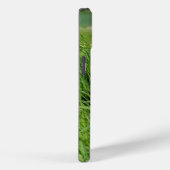 Zwarte en witte collie in Grass Case-Mate iPhone Case (Achterkant / Rechts)