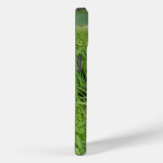 Zwarte en witte collie in Grass Case-Mate iPhone Case (Achterkant / Rechts)