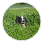 Zwarte en witte collie in Grass Keramische Knop (Voorkant)