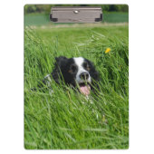 Zwarte en witte collie in Grass Klembord (Voorkant)