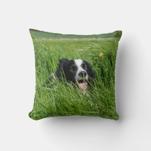 Zwarte en witte collie in Grass Kussen