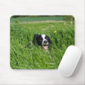Zwarte en witte collie in Grass Muismat (Met muis)