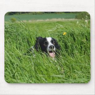 Zwarte en witte collie in Grass Muismat