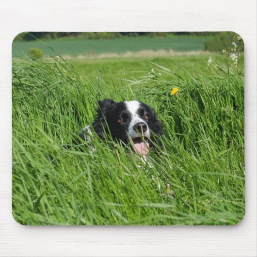 Zwarte en witte collie in Grass Muismat (Voorkant)