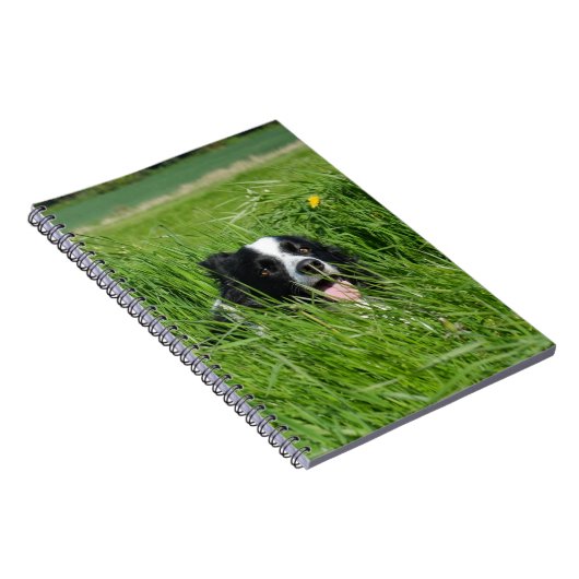 Zwarte en witte collie in Grass Notitieboek (Rechterzijde)