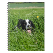 Zwarte en witte collie in Grass Notitieboek (Voorkant)