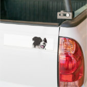 Zwarte en witte collie met bruine ogen Bumper Stic Bumpersticker (Op Truck)